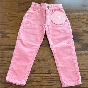 BISBY Kids Pink Corduroy Pants, 2t